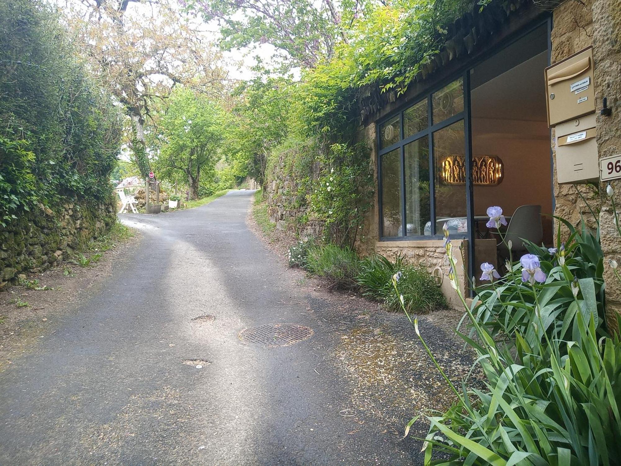 Chambre Du Sabotier - Studio Troglodytique - A 100 M Baignade En Riviere - Location De Canoe - Circuits Cyclo - Aire De Pique-Nique - 3 Restaurants Castelnaud La Chapelle Zewnętrze zdjęcie