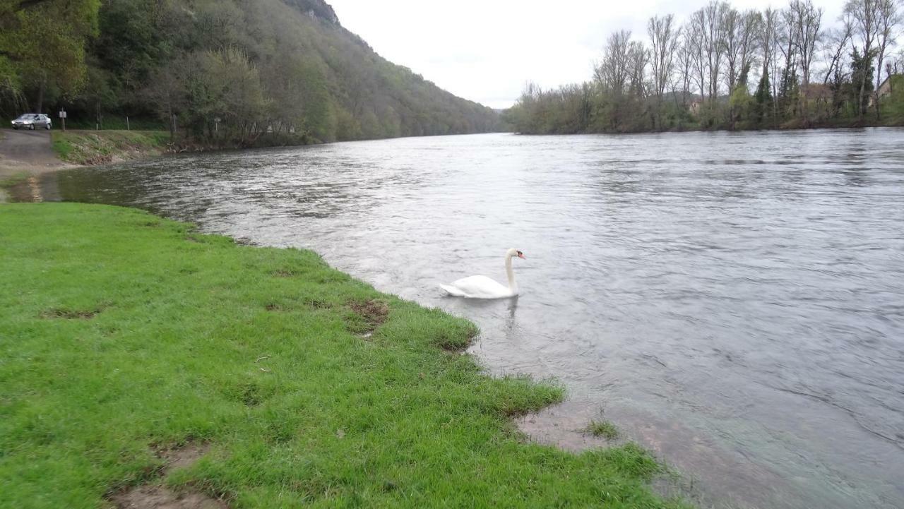 Chambre Du Sabotier - Studio Troglodytique - A 100 M Baignade En Riviere - Location De Canoe - Circuits Cyclo - Aire De Pique-Nique - 3 Restaurants Castelnaud La Chapelle Zewnętrze zdjęcie